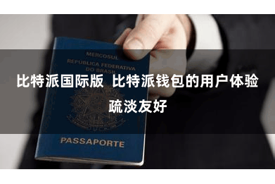 比特派国际版 比特派钱包的用户体验疏淡友好