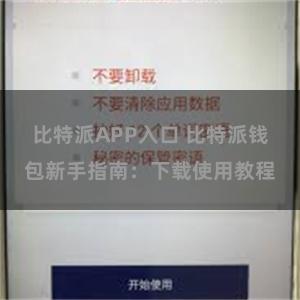 比特派APP入口 比特派钱包新手指南：下载使用教程