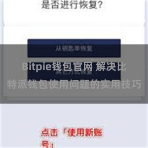 Bitpie钱包官网 解决比特派钱包使用问题的实用技巧