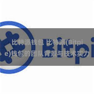 比特派钱包 比特派(Bitpie)钱包的团队背景与技术实力