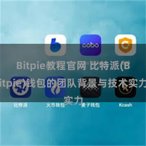 Bitpie教程官网 比特派(Bitpie)钱包的团队背景与技术实力