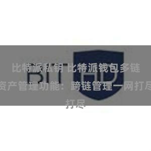 比特派私钥 比特派钱包多链资产管理功能：跨链管理一网打尽