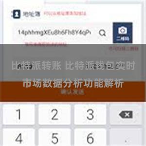 比特派转账 比特派钱包实时市场数据分析功能解析