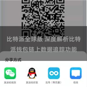 比特派全球版 深度解析比特派钱包链上数据追踪功能