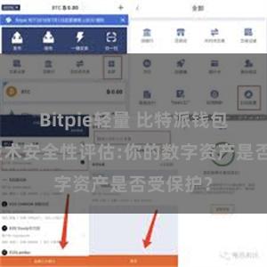Bitpie轻量 比特派钱包的隐私技术安全性评估:你的数字资产是否受保护？