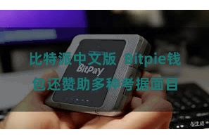 比特派中文版  Bitpie钱包还赞助多种考据面目
