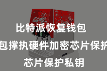 比特派恢复钱包  该钱包撑执硬件加密芯片保护私钥